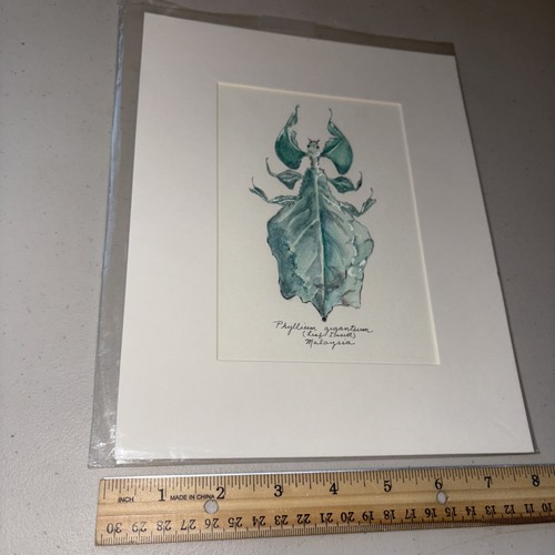 Matted print - 8,