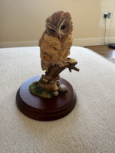 Wb08 tawny owl the russel - owl,