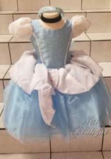 Cinderella Dress or Cinderella