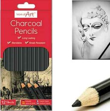 12x Graded Pencils Drawing Sketching Tones Shades Art Artist Picture Pencil Draw