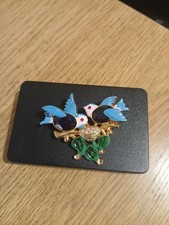 Adorable Blue Birds Nest