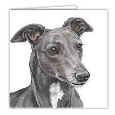 Greyhound greetings card dog
