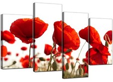 Extra large floral - extra, red