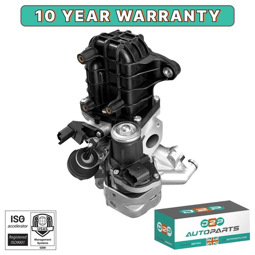 Egr valve module - egr, cooler