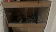 glass vivarium used small