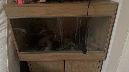Glass vivarium used - glass, small
