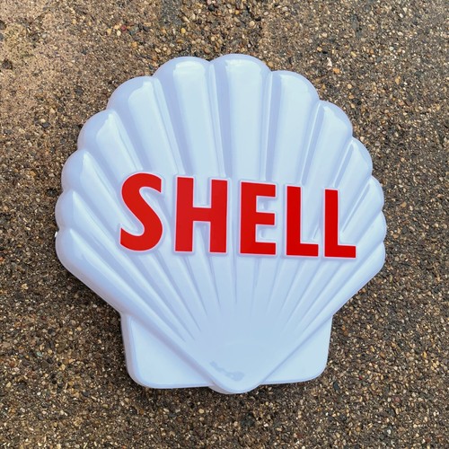 Shell white clam - white,