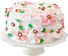 YBCPACK 10 Inch Ceramic Cake