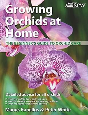 Growing orchids home - home:, the