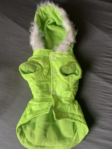 Dog cat pet cold weather - cat,