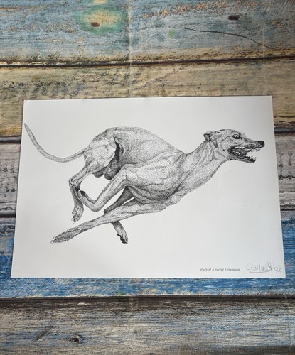 Racing greyhound dog art - dog,
