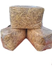 Mini straw bales - 2, x