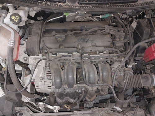 Engine ford fiesta - fiesta, (b299)