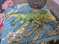 Primeval Coelurosauras Rex