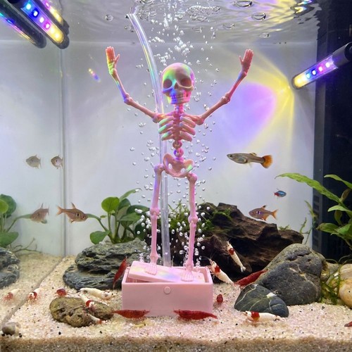 Dancing skeleton aquarium - dancing,