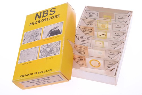 Nbs microslides - 6,