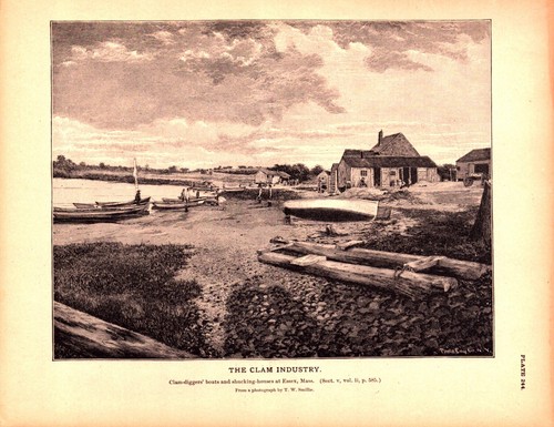 Essex massachusetts clam - essex,,