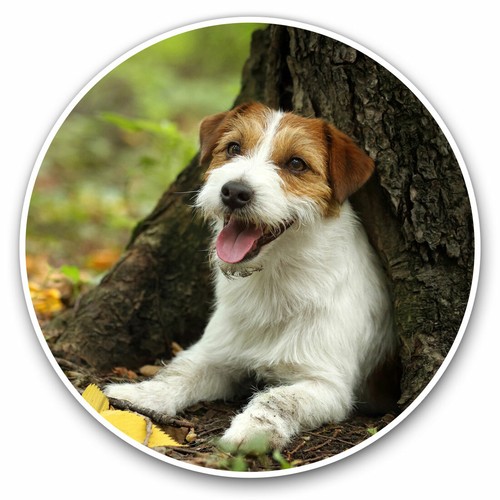 Vinyl stickers 20cm jack - x,