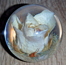 Beautiful Hafod Grange Lucite