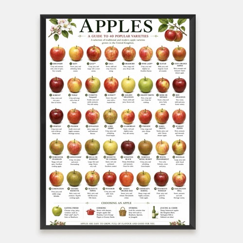 Apples guide 40 - a,