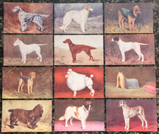 12 x  Spratts Champion Dog Postcards