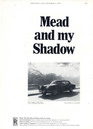 Mead and shadow - mead,