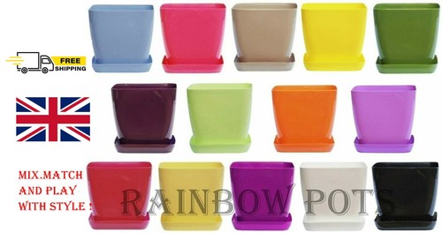 Plastic flower plant - plant, pots