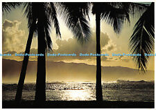 D051822 572 H. Outrigger War Canoe reflected in Afternoon sun at Haleiwa Beach P