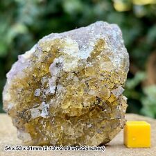 Rare British Fluorite Crystal, Hilton Mine, Cumbria, England – Vibrant Yellow