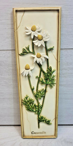 Marks spencer hand painted - spencer,