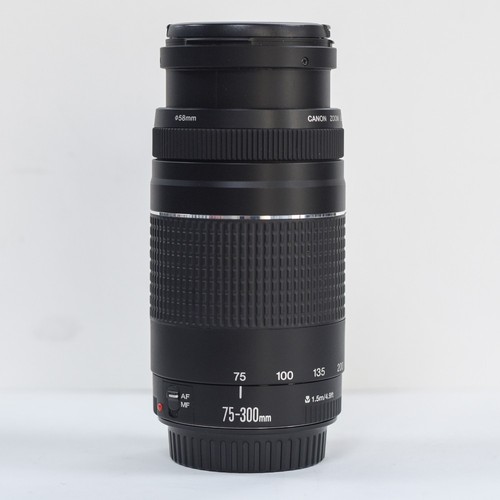 Canon 300mm 5 - canon, f4-5.6