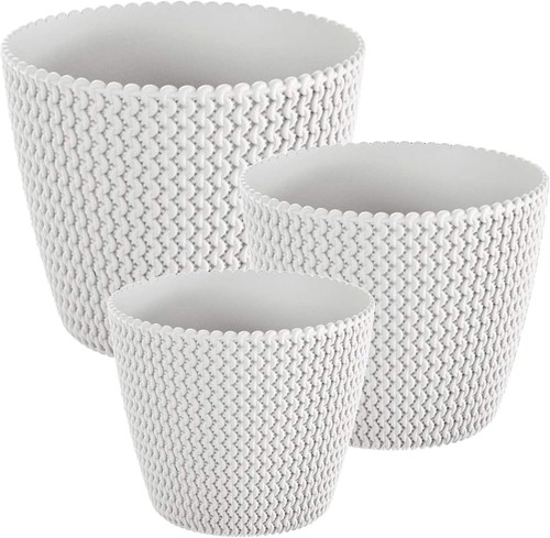Plant pots indoor - plant,