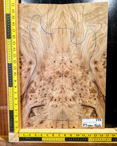Elm burl guitar top set - elm,
