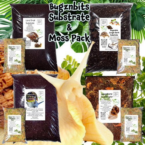 Bugznbits land snail substrate - bugznbits,