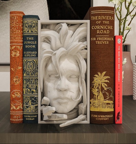 Edward scissor hands - scissor, book