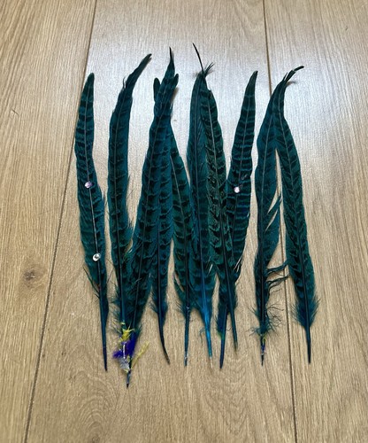 10x turquoise blue pheasant - turquoise,