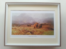 David Shepherd print 'Highland