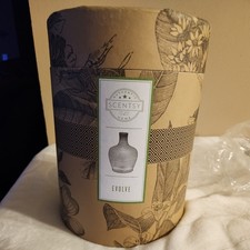 Scentsy Teardrop "EVOLVE"
