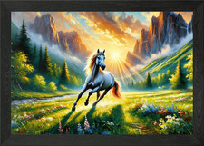 White Horse in Mountain Meadow