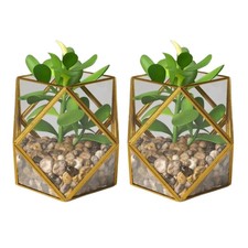 2 PACK Opalhouse 5"x 4"