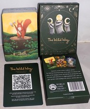 THE WILD WAY ORACLE CARD DECK 2023 by NICOLA  ALLAN 44 LARGE CARDS EXC++