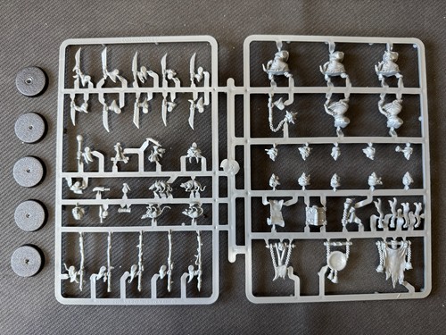Aos skaven plague monk - -,