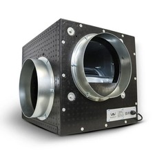 Mammoth Foam Box Fan 10" 12"