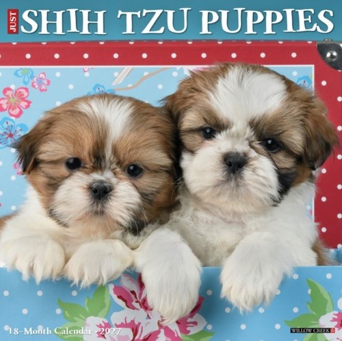 Shih tzu puppies 2027 wall - tzu,