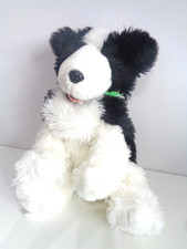 Border Collie Dog Full Body