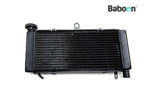 Radiator honda 600 hornet - radiator,