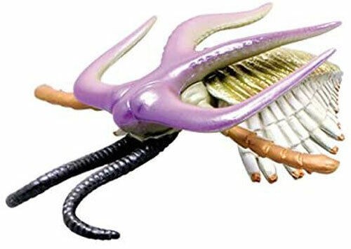 Cambrian creatures marrella - creatures,