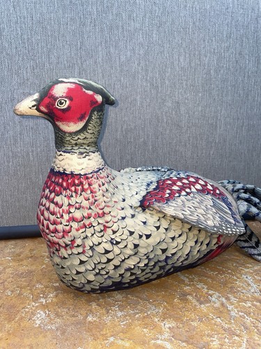 Ring neck pheasant - pheasant, stuffed