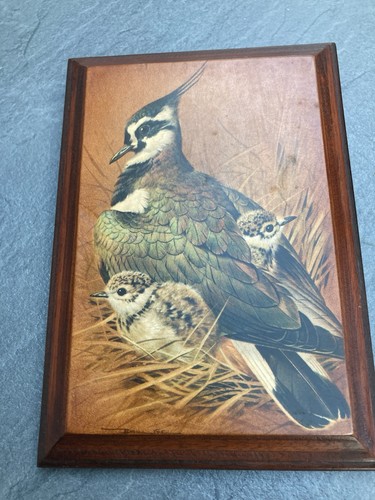 Vintage basil ede print - print, on