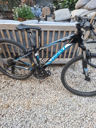 Giant revel mountain bike - giant, 3